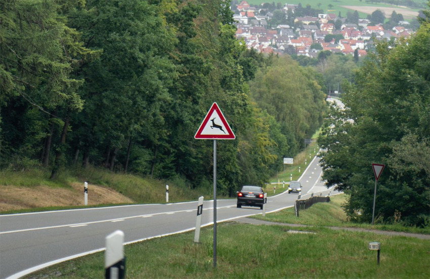 Erhöhte Gefahr von Wildunfällen im Herbst