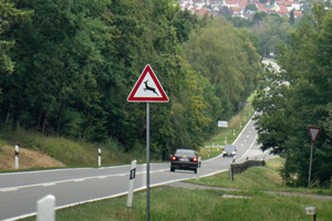 Erhöhte Gefahr von Wildunfällen im Herbst